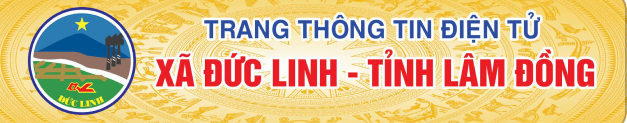 Trang thông tin điện tử xã Đức Linh